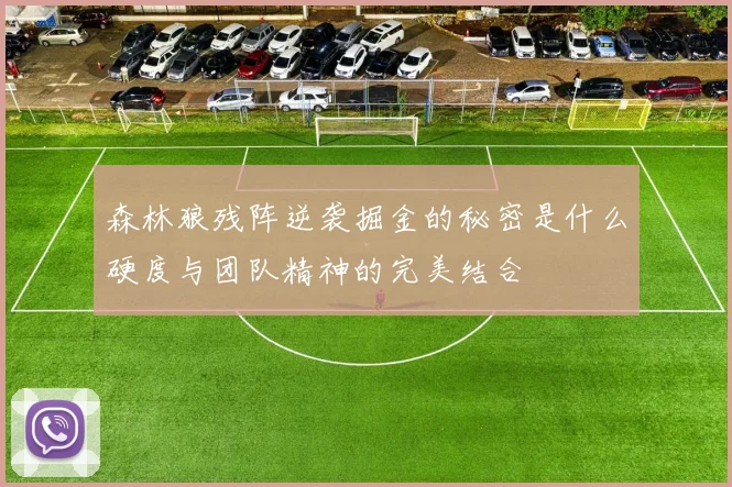 森林狼残阵逆袭掘金的秘密是什么硬度与团队精神的完美结合